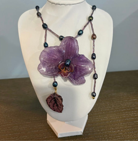 purple phalaenopsis orchid